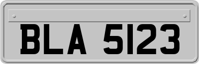 BLA5123