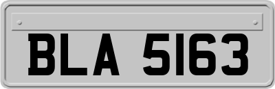 BLA5163