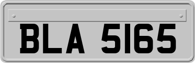 BLA5165