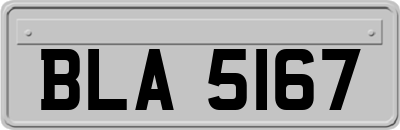 BLA5167