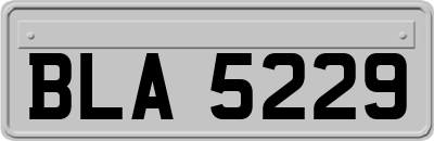 BLA5229