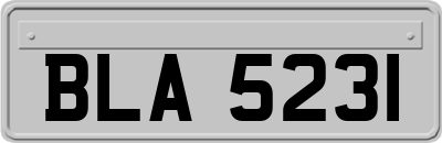 BLA5231