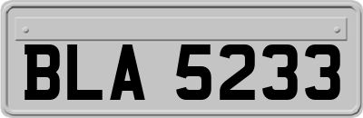 BLA5233
