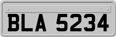 BLA5234