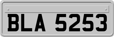 BLA5253