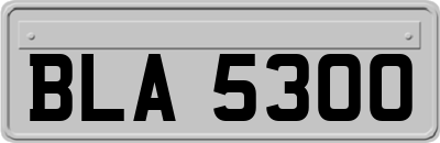 BLA5300