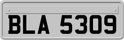 BLA5309