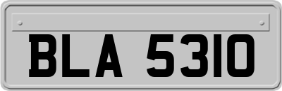 BLA5310
