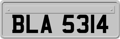 BLA5314