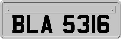 BLA5316