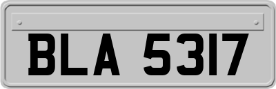 BLA5317