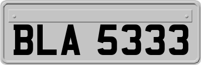 BLA5333