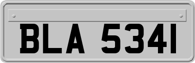 BLA5341