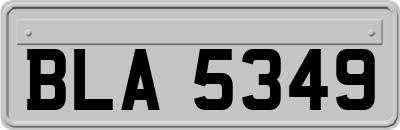 BLA5349