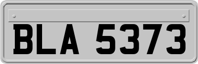 BLA5373