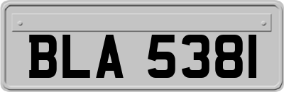 BLA5381