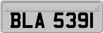 BLA5391