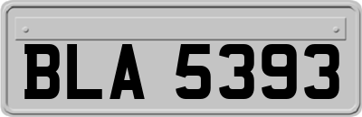 BLA5393