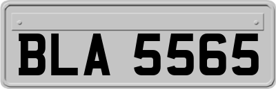 BLA5565
