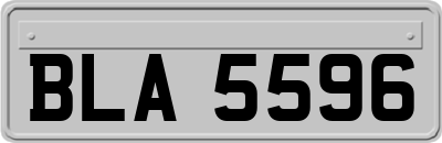 BLA5596