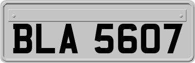 BLA5607