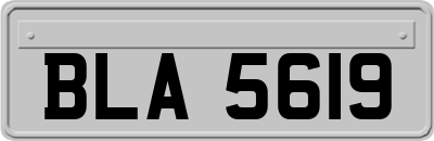 BLA5619