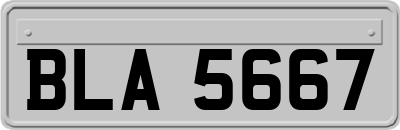 BLA5667