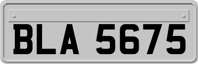 BLA5675