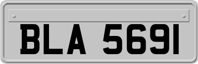 BLA5691