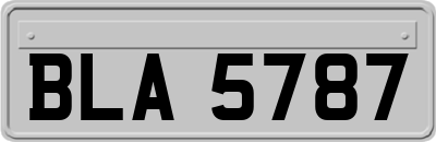 BLA5787