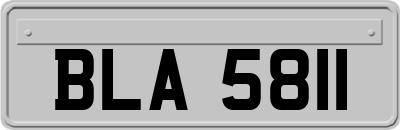BLA5811