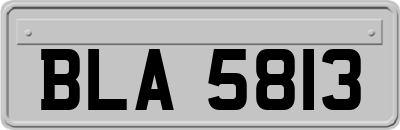 BLA5813