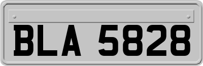 BLA5828