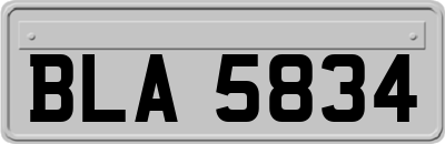 BLA5834