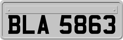 BLA5863