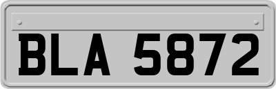 BLA5872