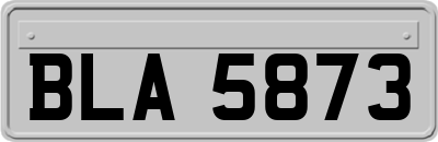 BLA5873