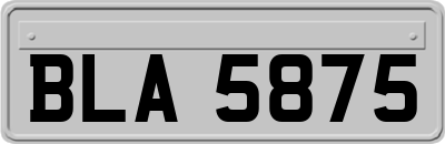 BLA5875
