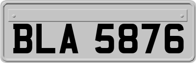 BLA5876