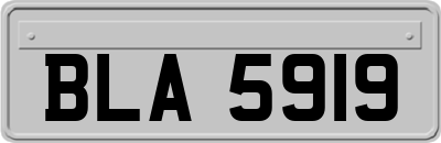 BLA5919