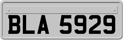BLA5929