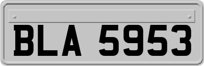 BLA5953