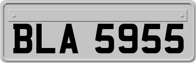BLA5955