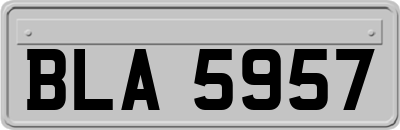 BLA5957