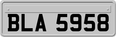 BLA5958