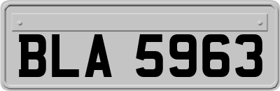BLA5963