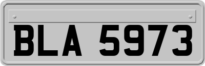 BLA5973