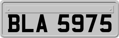 BLA5975