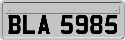 BLA5985