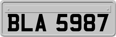 BLA5987